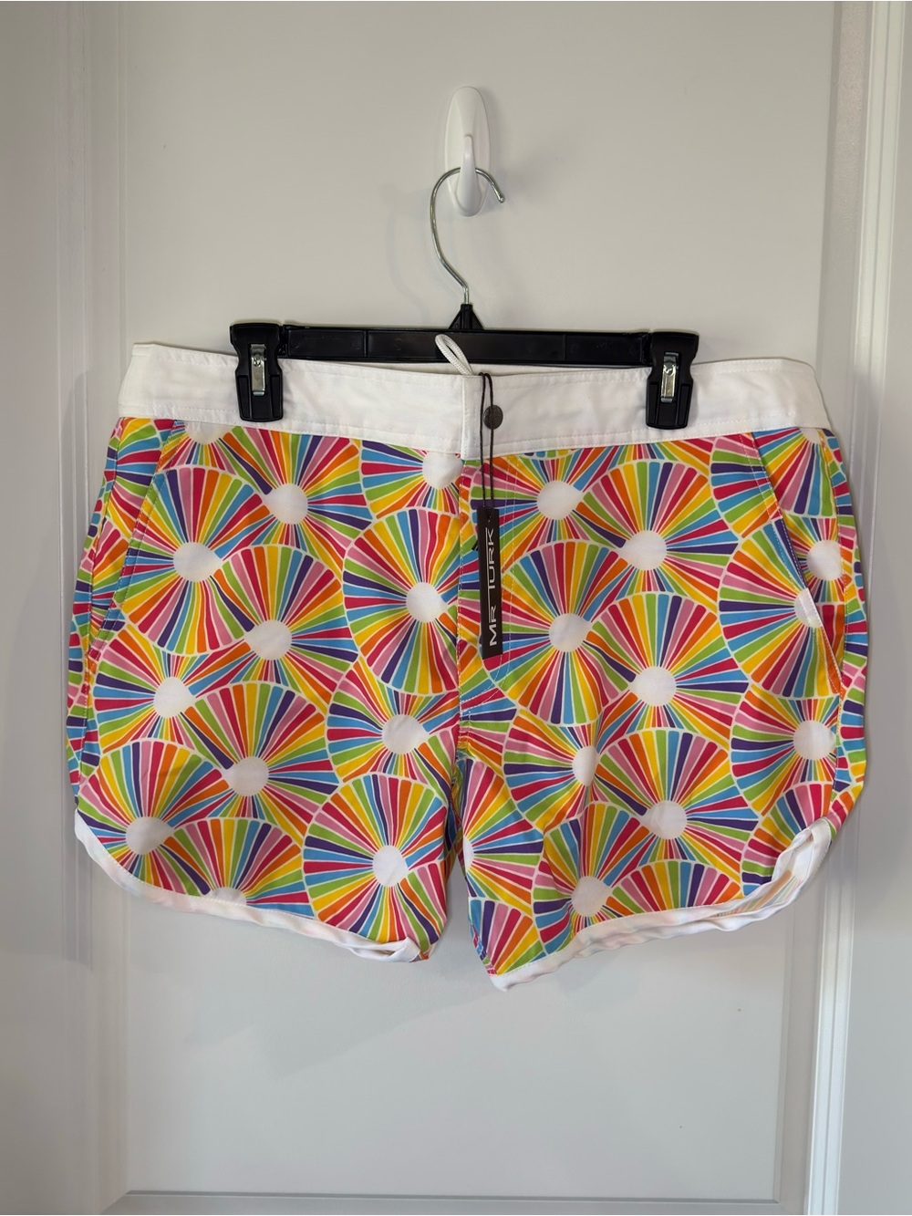 Mr Turk Surfside Board Short Rainbow Trunks